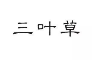 “三葉草”商標(biāo)無(wú)效行政糾紛案一審審結(jié)